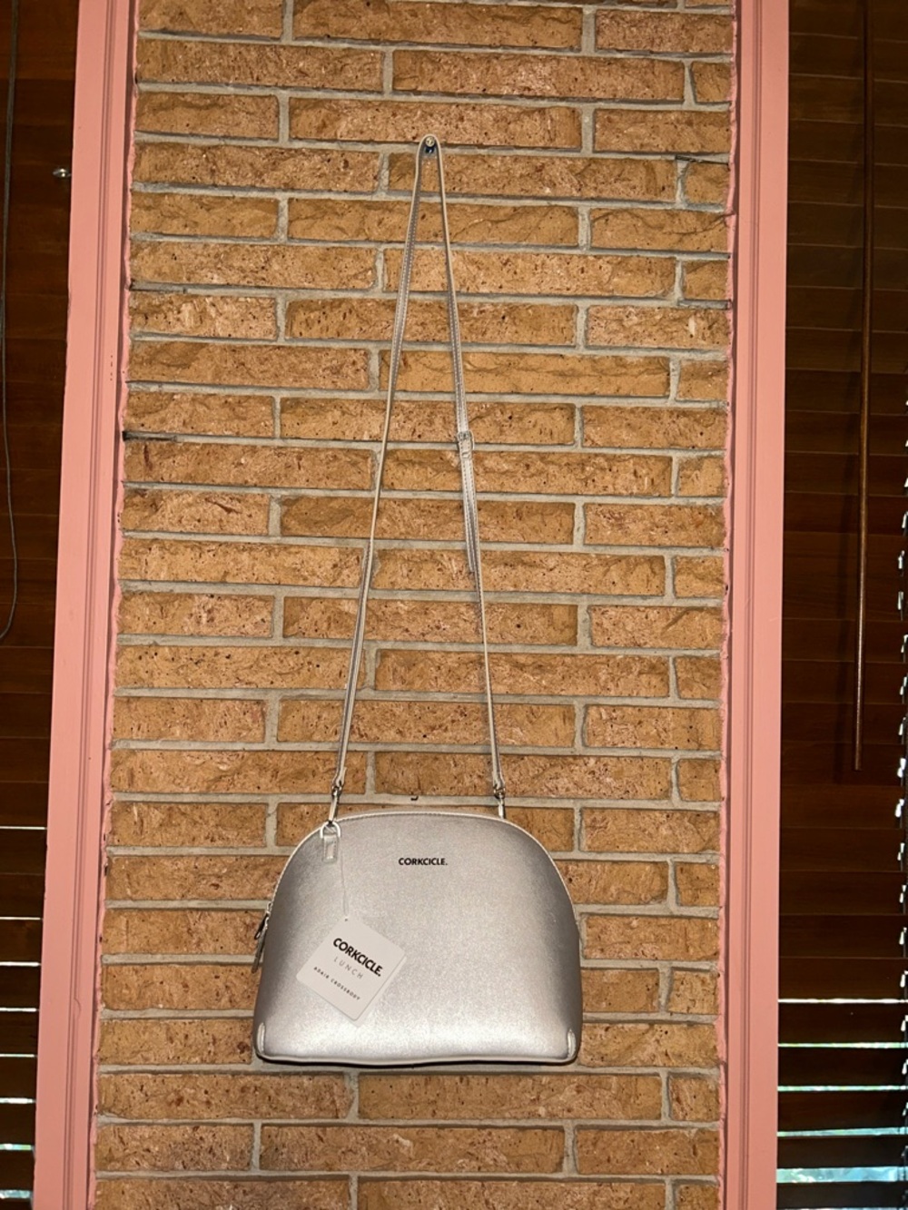 Corkcicle Metallic Silver Dome Crossbody Bag